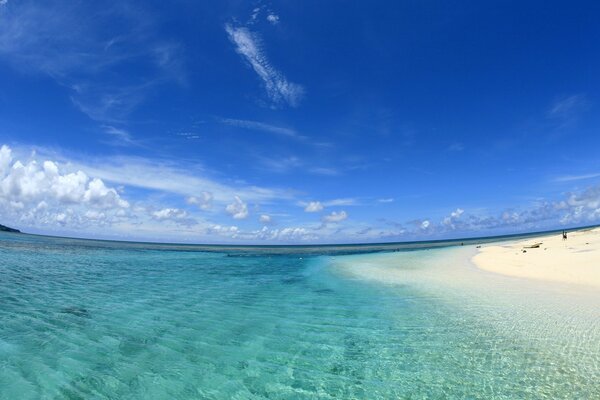 White sand beach by blue water