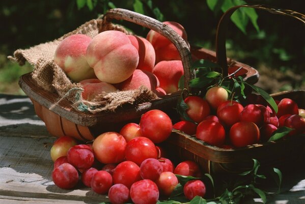 Baskets of plums peaches leaves