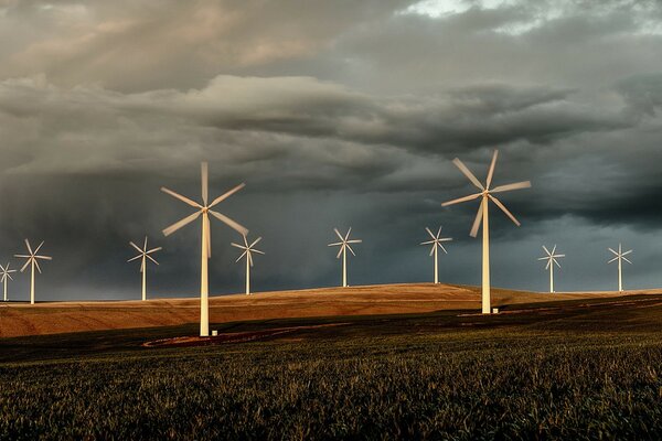 Windpocken unter bewölktem Himmel