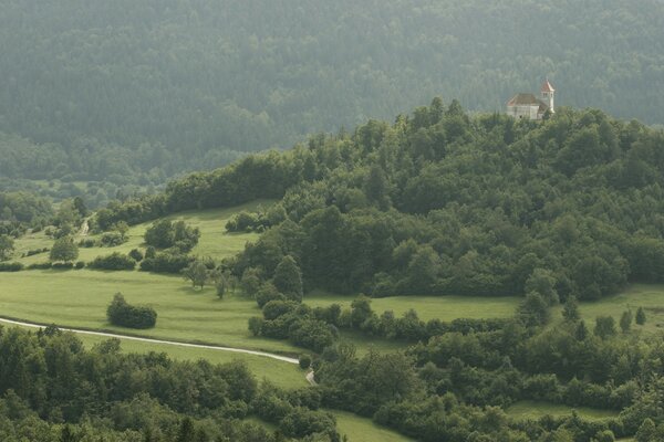 La route vers le château perdu parmi les arbres denses