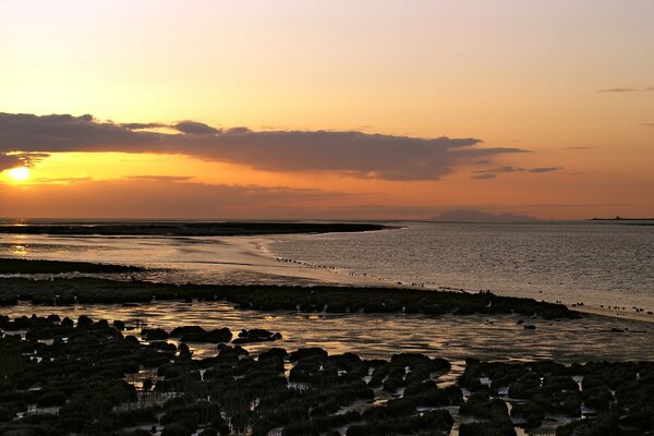 Puesta de sol junto al mar