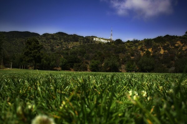 Grüne Landschaft mit Blick auf Hollywood