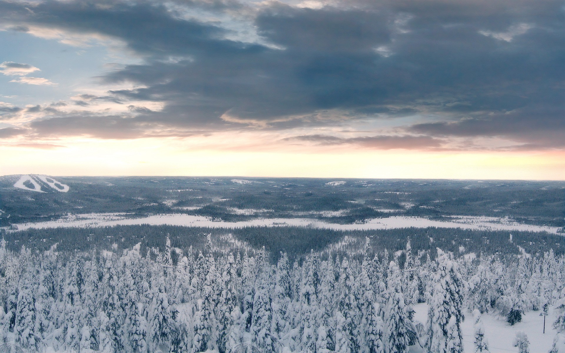 drzewa las śnieg zima chmury