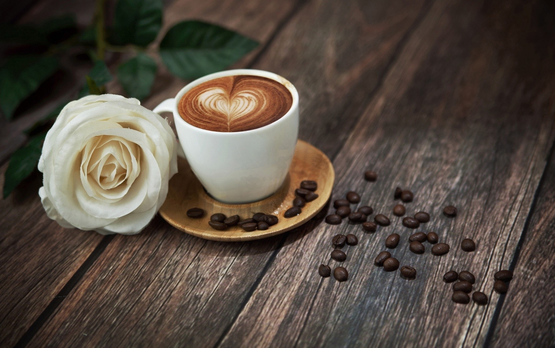 coffee cup grain rose