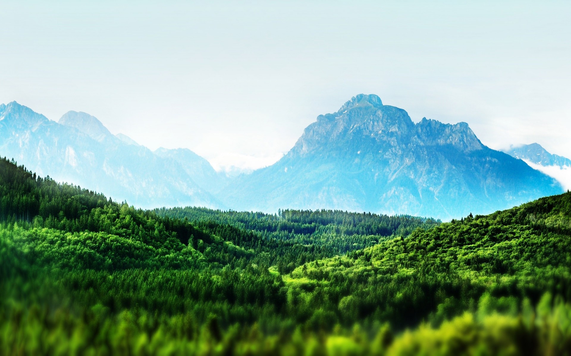 montañas bosque árboles