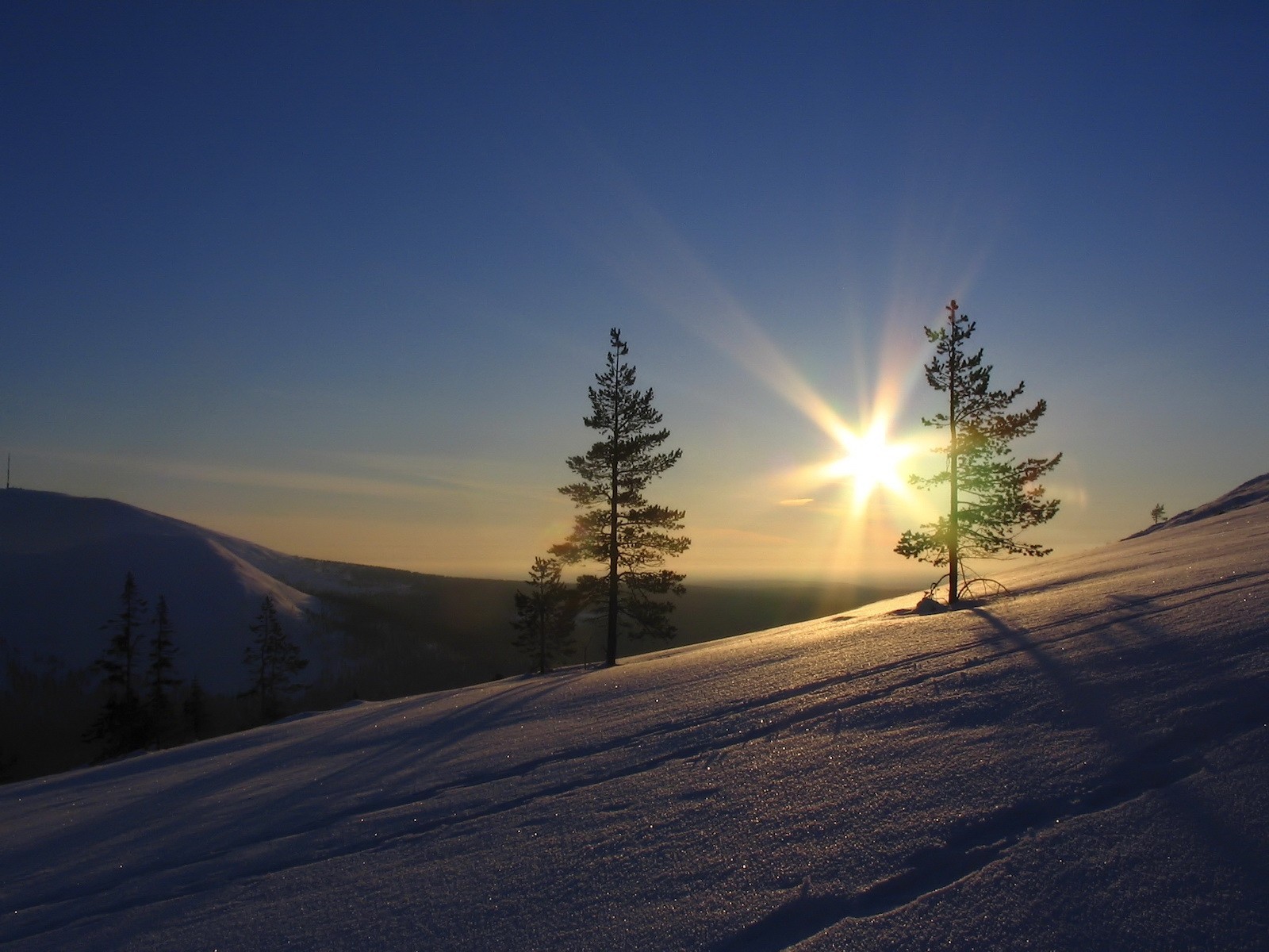 nieve árboles sol cielo