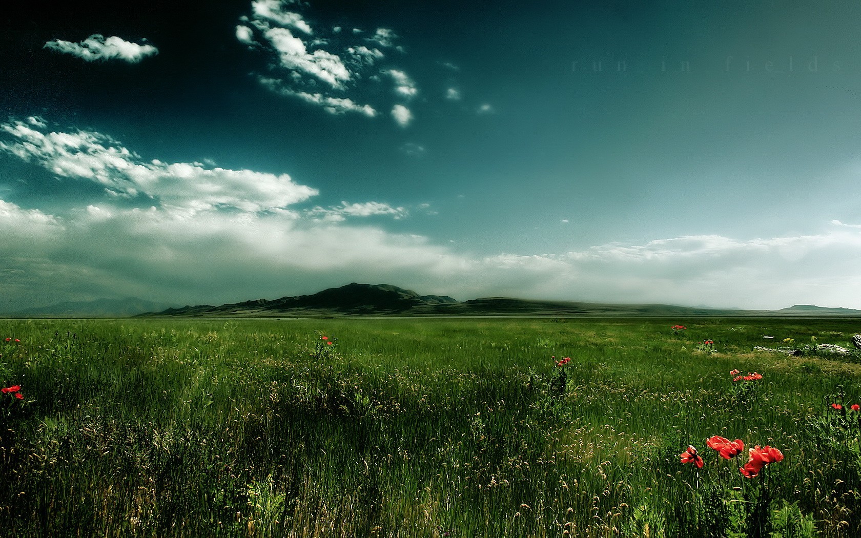 campo erba nuvole montagna