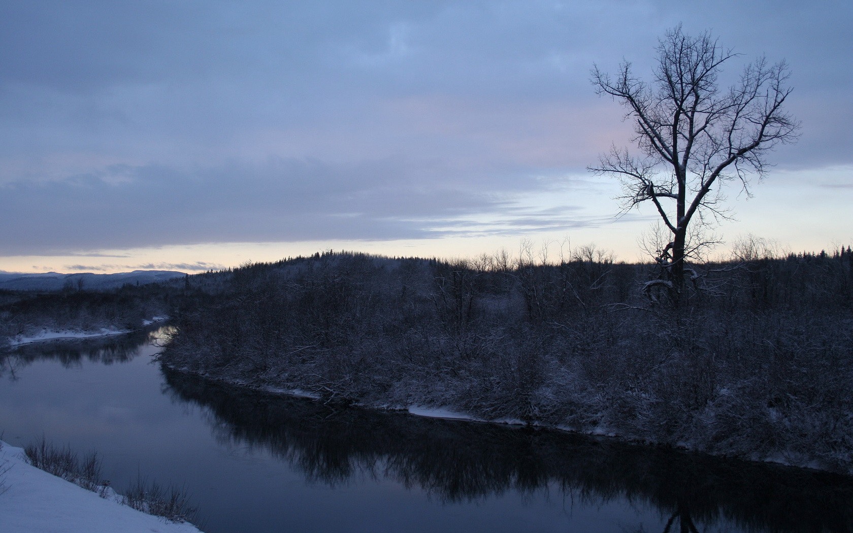 hiver rivière neige arbres