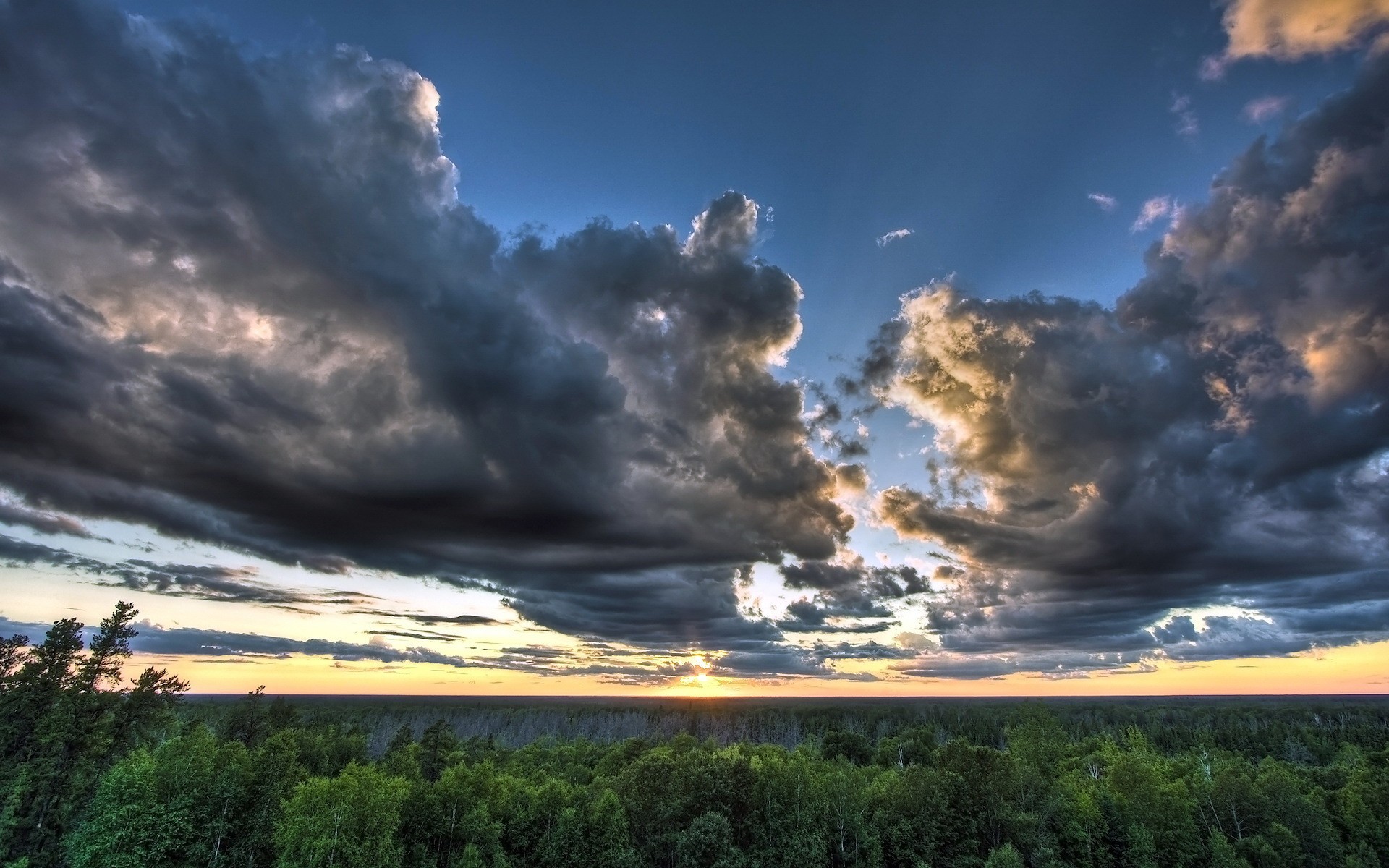 cielo nuvole foresta