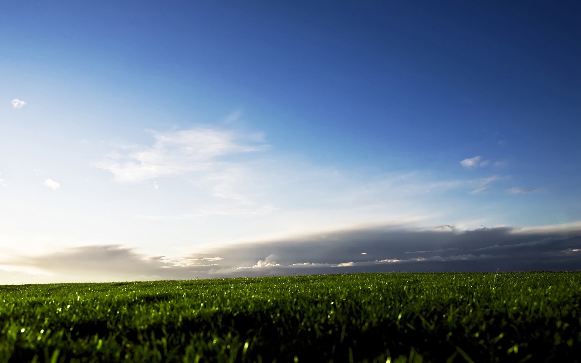 herbe champ nuages ciel