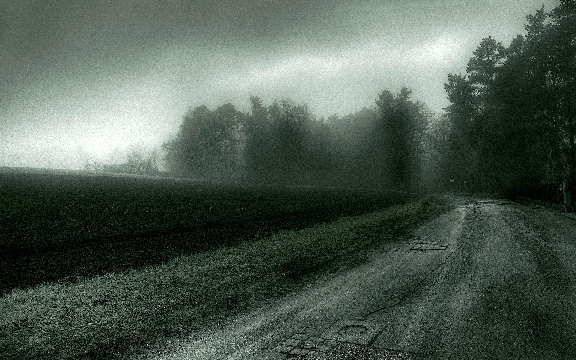 camino campo árboles oscuridad