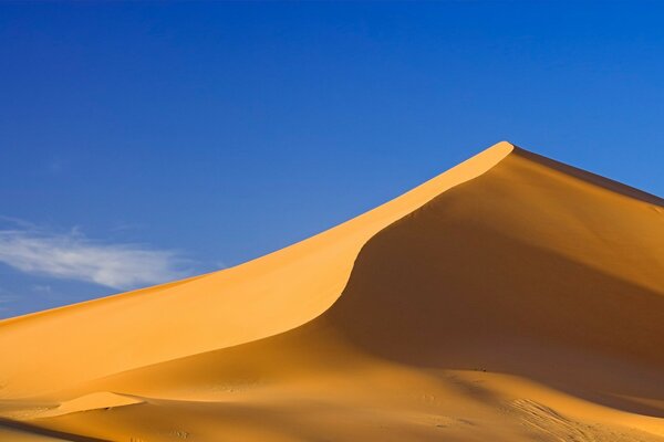 Désert de velours et sable jaune