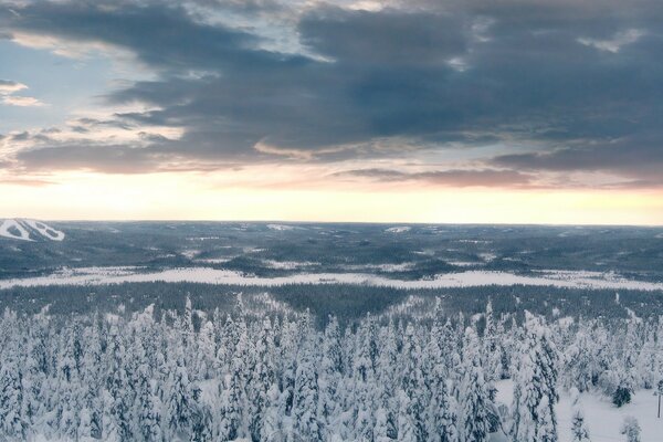 Ferner Schneefallwald mit goldenem Sonnenuntergang