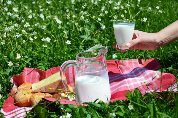 Fotos de picnic de verano leche y color