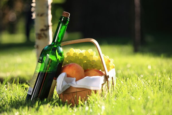 Vino y cesta con melocotones y uvas en la hierba bajo el sol