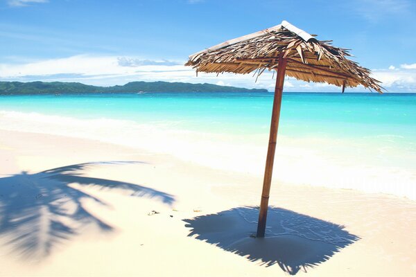 Beach umbrella on the seashore