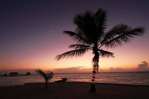 Puesta de sol en la playa de palma