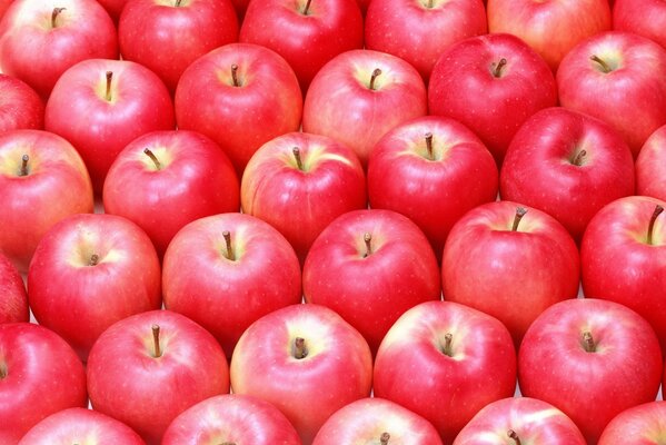 Красные спелые яблоки пазл