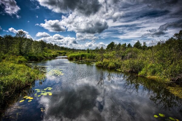 Sumpfiger Fluss im Wald unter schönen Wolken