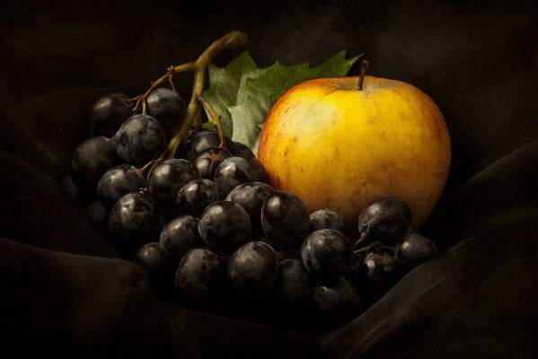 Still life with grapes and apple