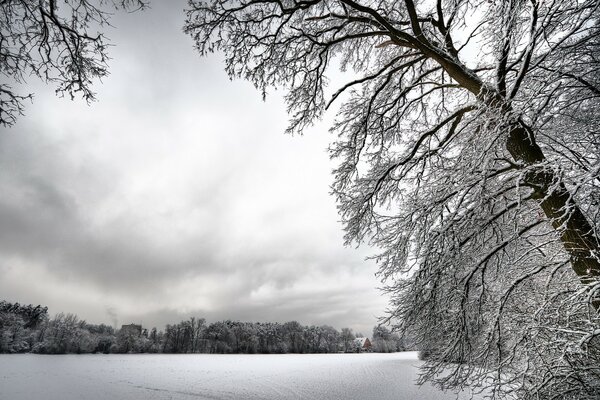 Schneebedeckte Bäume und weiße Schneelandschaft