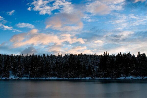 Riva innevata del lago della foresta