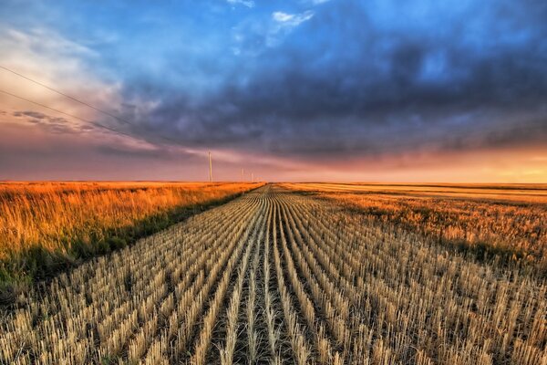 Gepflegtes Feld bei Sonnenuntergang