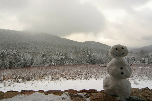 Triste muñeco de nieve en el campo