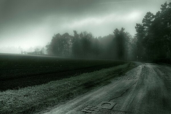 Straße durch Feld und Wald im Nebel