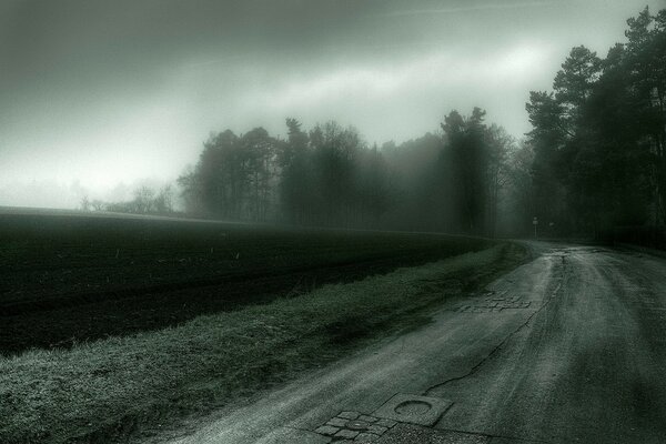 Camino a través del campo y el bosque en la niebla