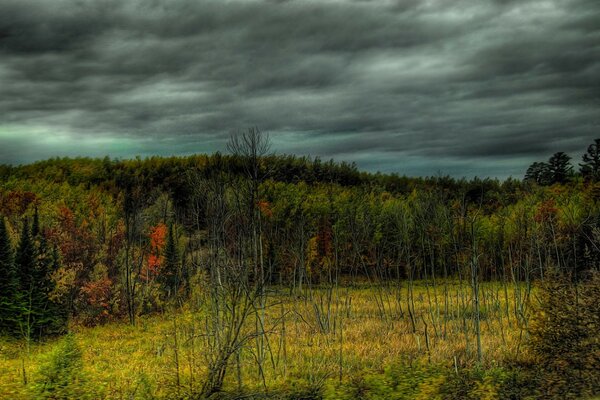 Dark clouds over the autumn forest