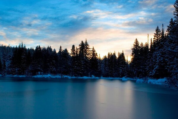 Lago en invierno rodeado de bosque