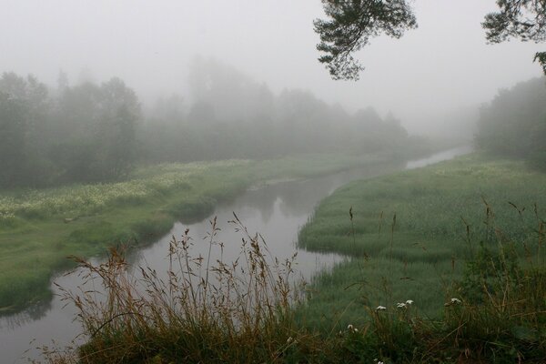 Wieczorna mgła nad rzeką