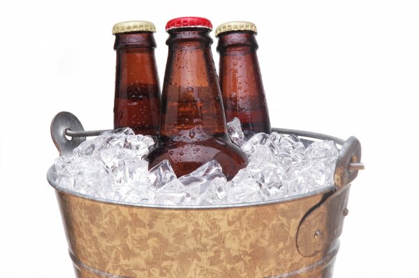 Three dark bottles in an ice bucket