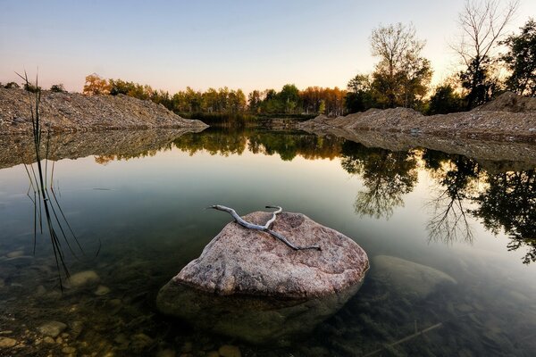 Pierre avec une branche dans un lac transparent