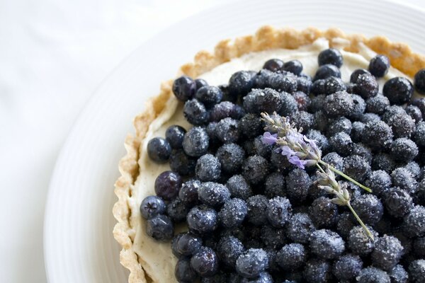 Gâteau sablé aux myrtilles