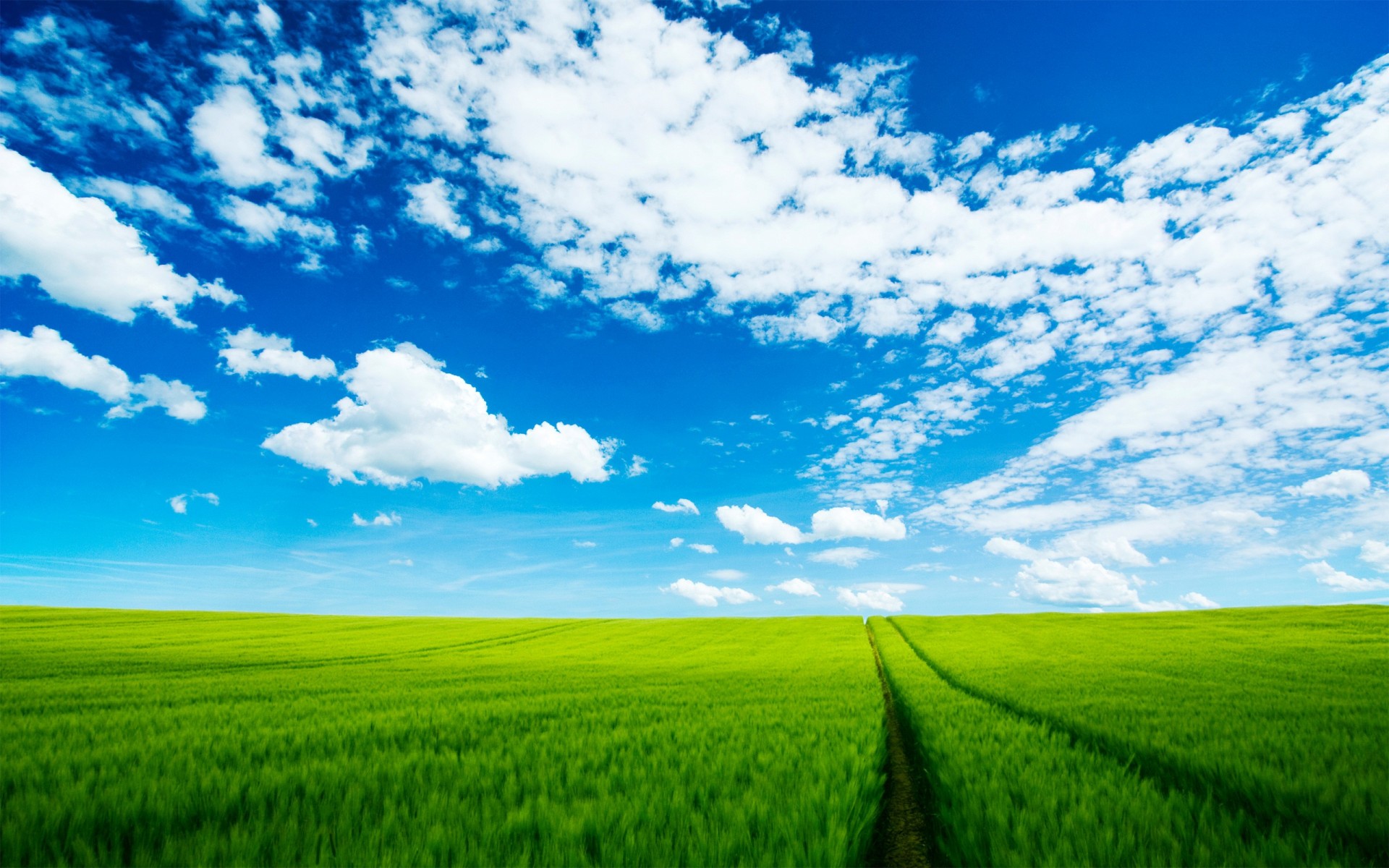 feld straße wolken himmel