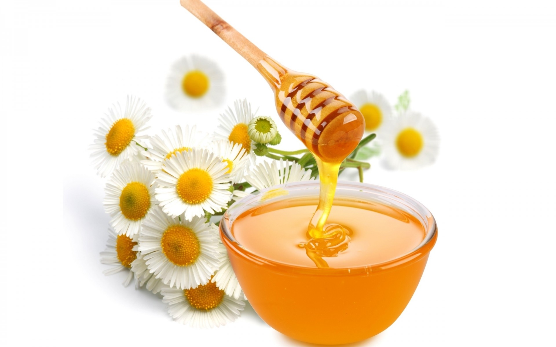 chamomile bowl flower honey