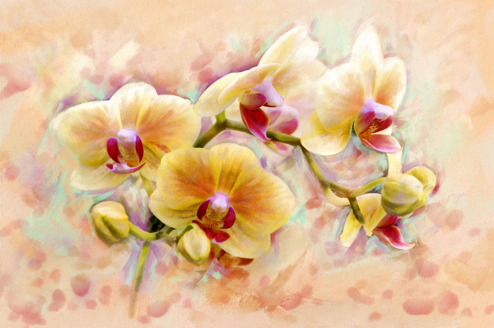 orchidea art kwiat tak świecą oryginalnością kształt bajkowej orchidei