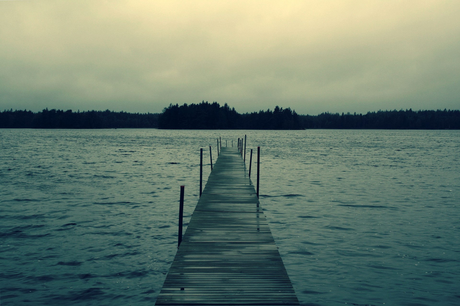 wasser see wald pier