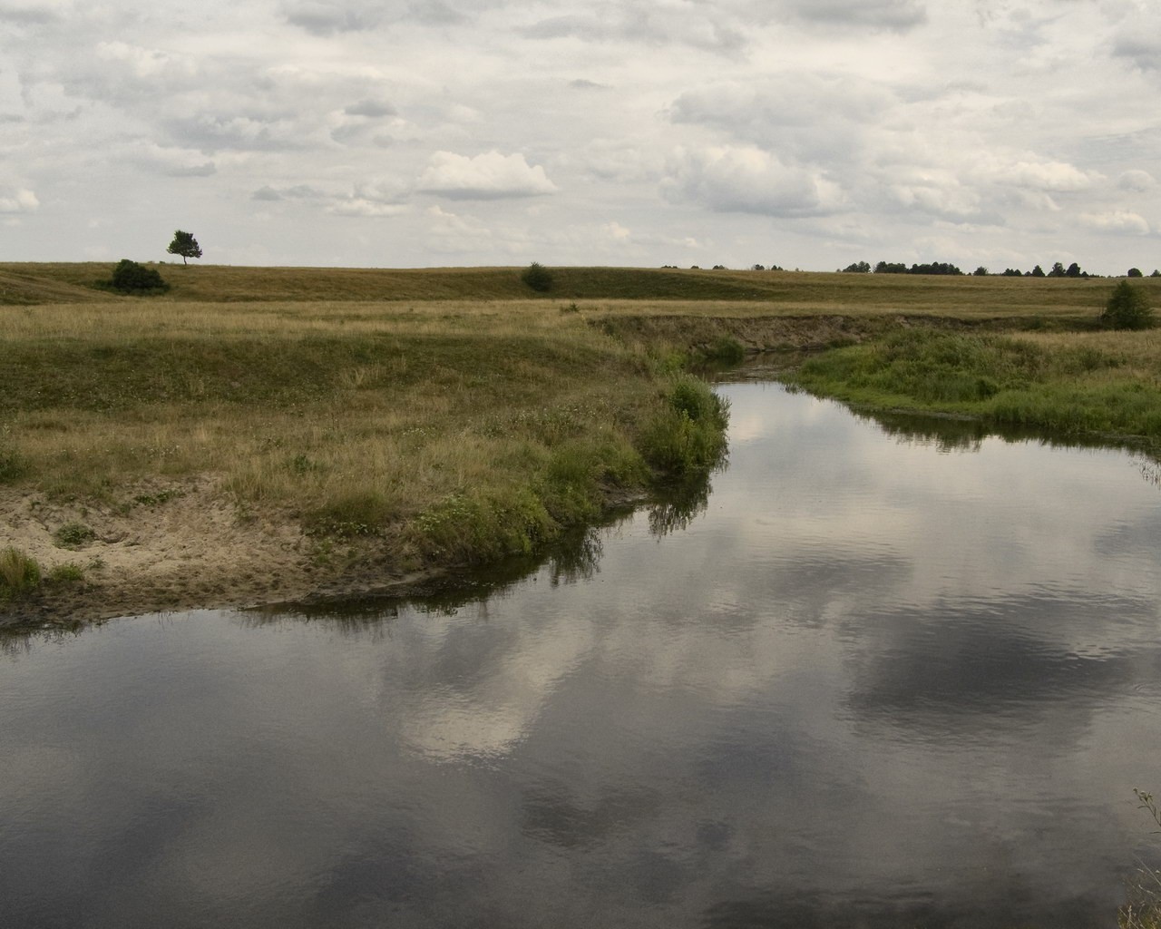 ummer nature river