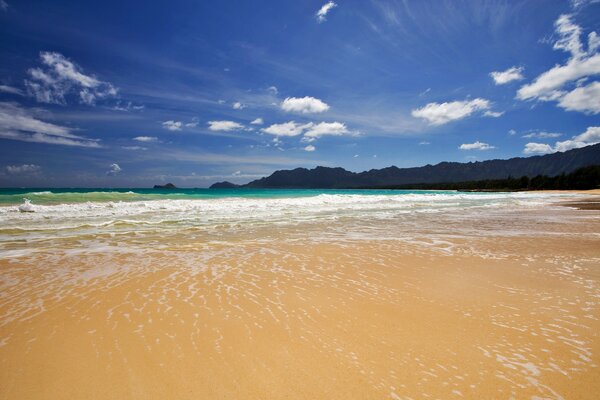 Photo seashore waves