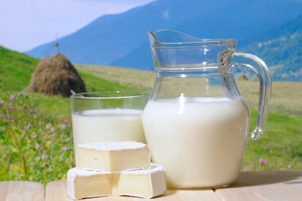 Lait dans une carafe sur fond de champ