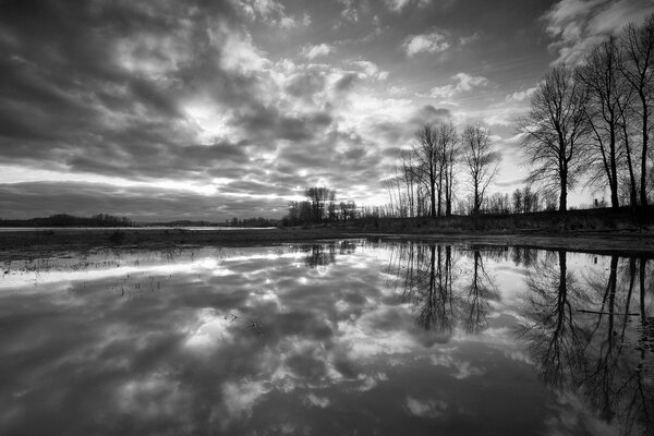 Black and white trees are reflected in the water