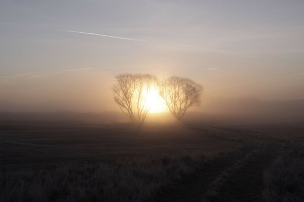 Minimalistisches Bild, Sonnenaufgang im Feld, stumpfes Feld, Sonne zwischen den Bäumen