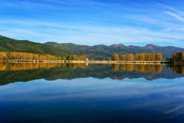 Reflejo de árboles en el lago