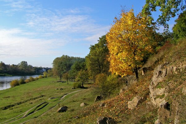 Herbstbäume und Flussufer