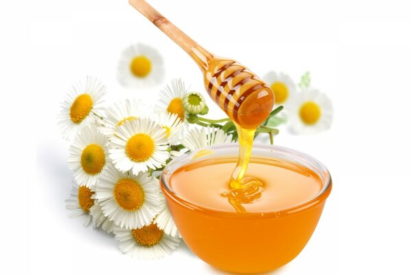 Belle image de marguerites et de miel