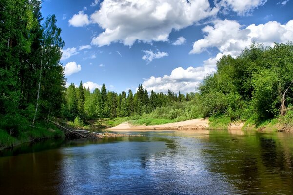 A river in a green forest under clouds