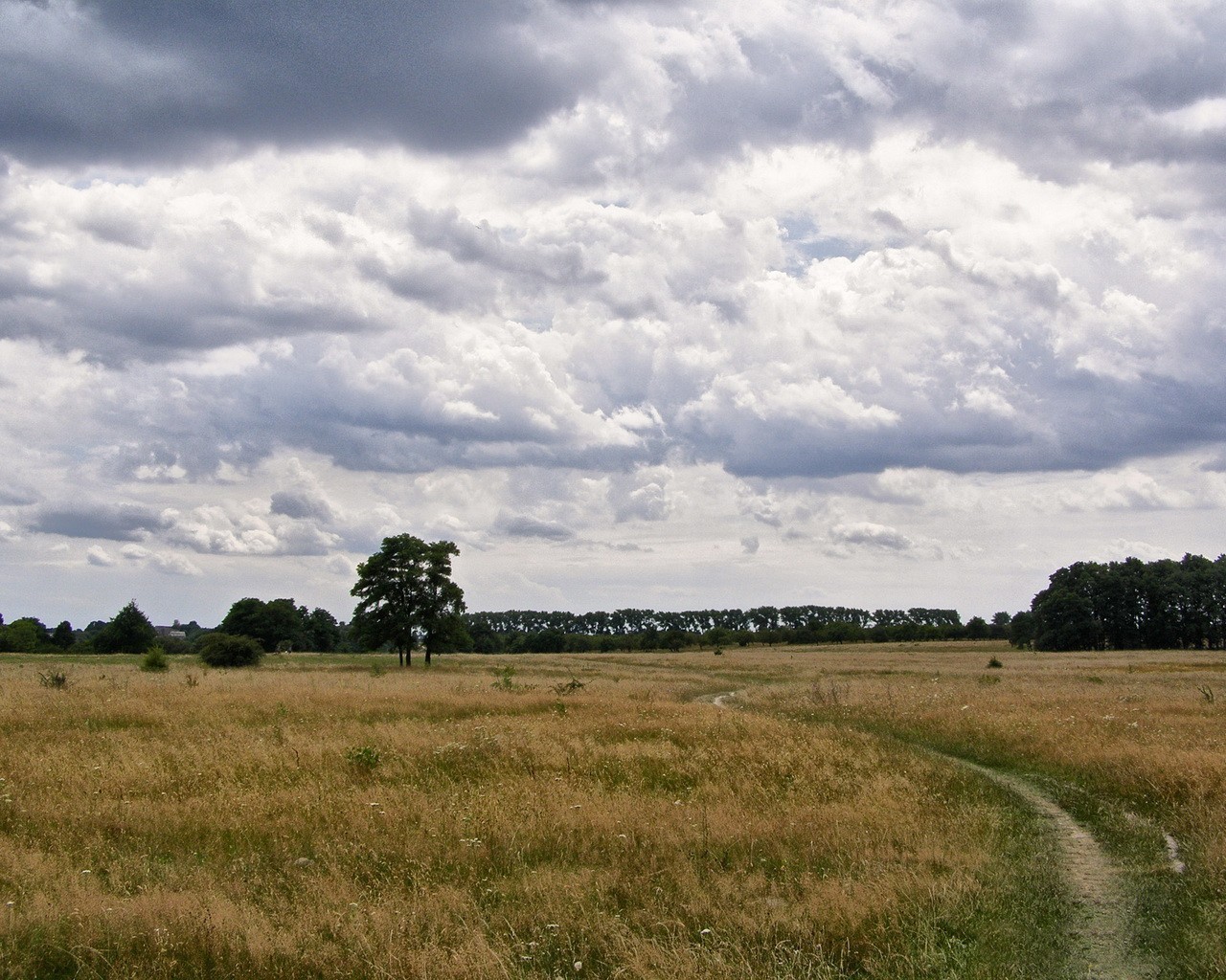 champ été nuages